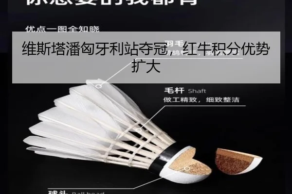 维斯塔潘匈牙利站夺冠，红牛积分优势扩大