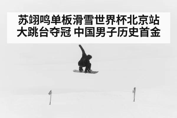 苏翊鸣单板滑雪世界杯北京站大跳台夺冠 中国男子历史首金